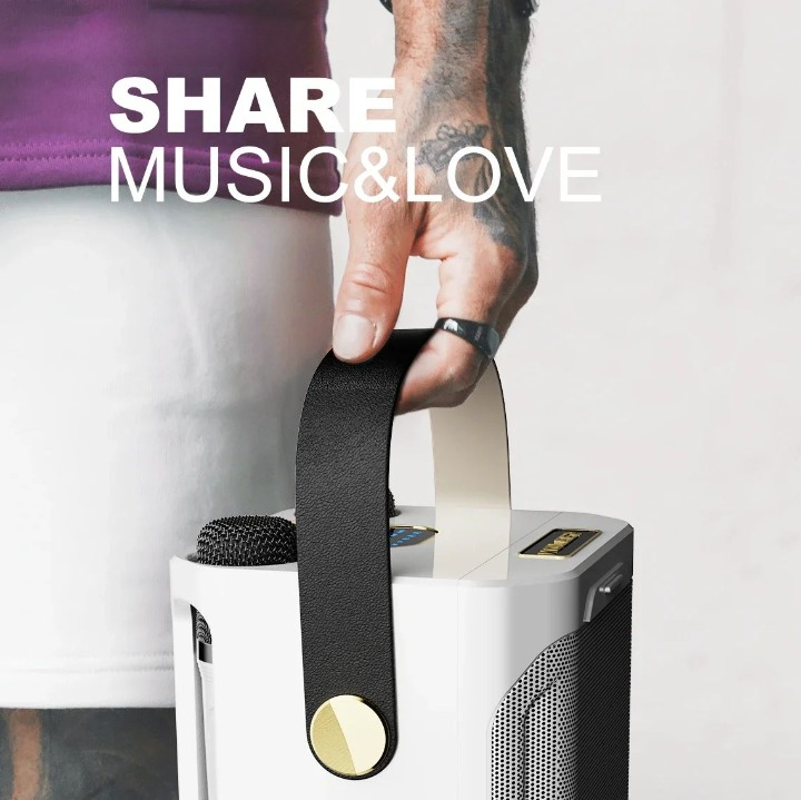Bluetooth karaoke speaker with 2 microphones