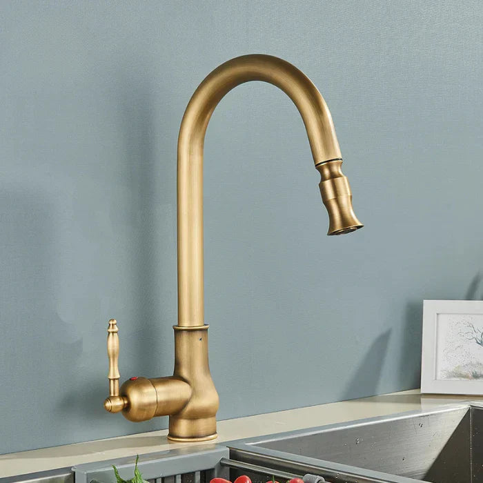 Kitchen faucet with swivel spout – Antique brass finish