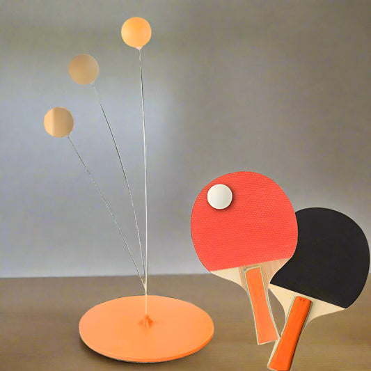 Table tennis set with flexible training arm