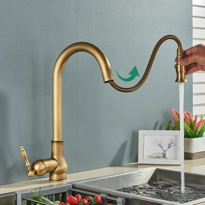 Kitchen faucet with swivel spout – Antique brass finish