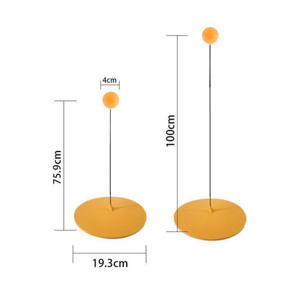 Table tennis set with flexible training arm
