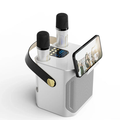 Bluetooth karaoke speaker with 2 microphones