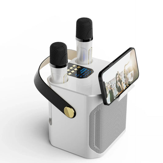 Bluetooth karaoke speaker with 2 microphones