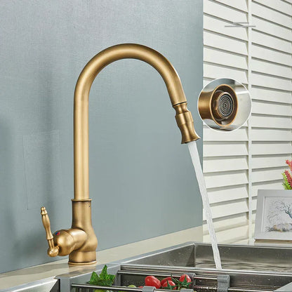 Kitchen faucet with swivel spout – Antique brass finish