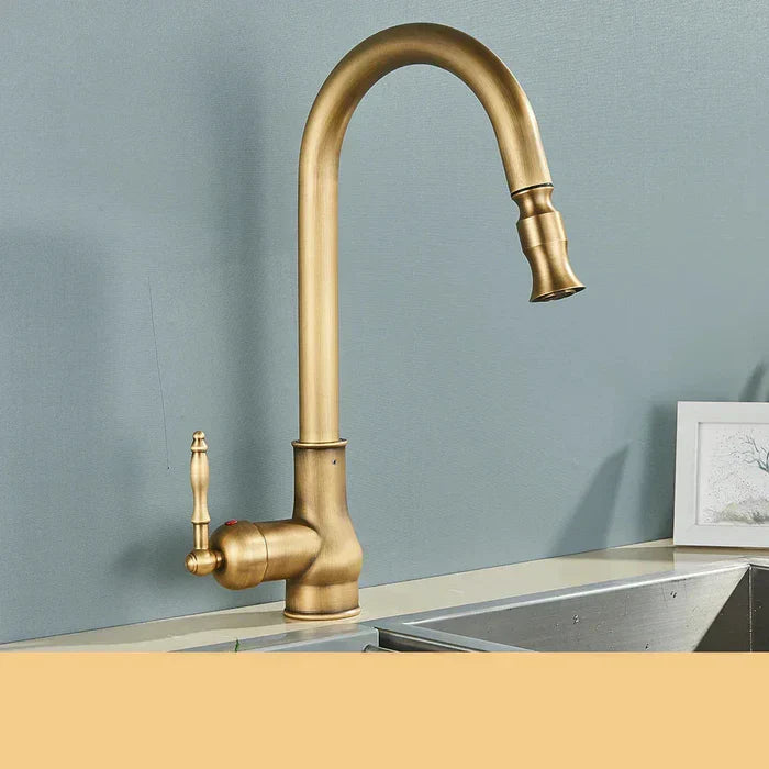 Kitchen faucet with swivel spout – Antique brass finish