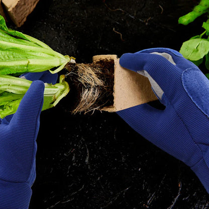 Thorn-Resistant Garden Gloves with Reinforced Palm