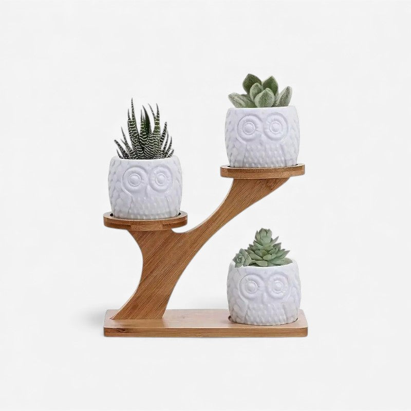 3-tier bamboo plant stand – Tree-shaped display for houseplants