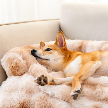 Plush Dog Bed with Non-Slip Bottom